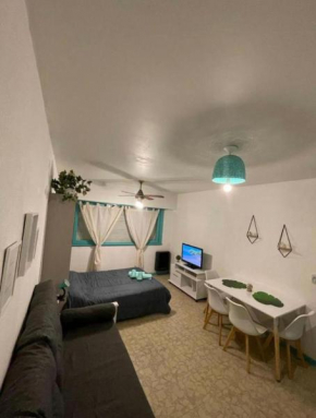 departamento zona guemes